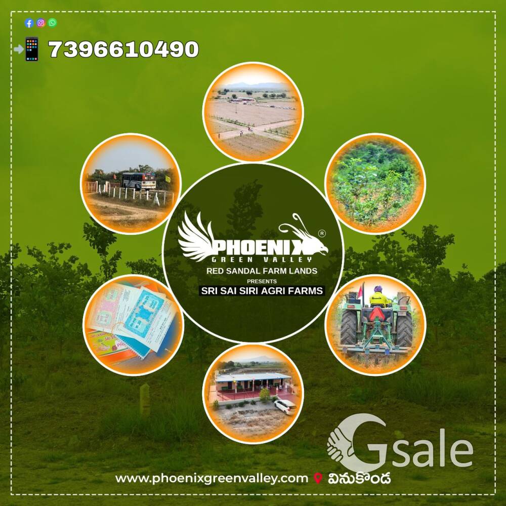 phoenix green valley RED SANDALS FRAM LAND'S Gajam 699 only VINUKONDA AP 