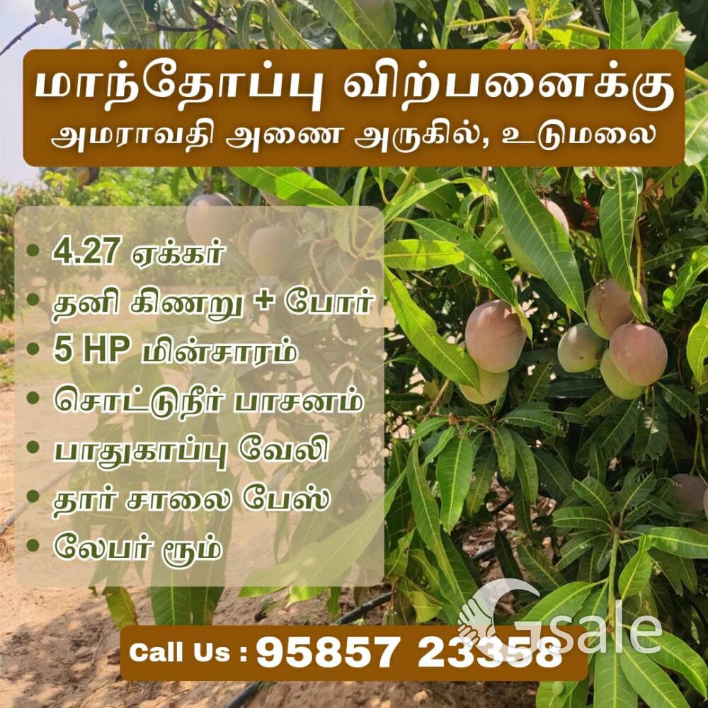 Mango farm land for sale in Udumalay to amaravati dam road 