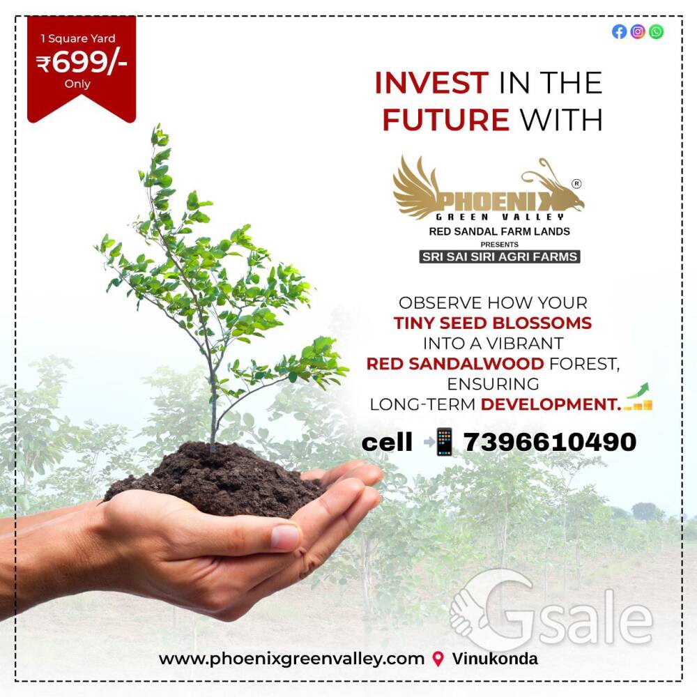 phoenix green valley RED SANDALS FRAM LAND'S Gajam 699 only VINUKONDA AP 