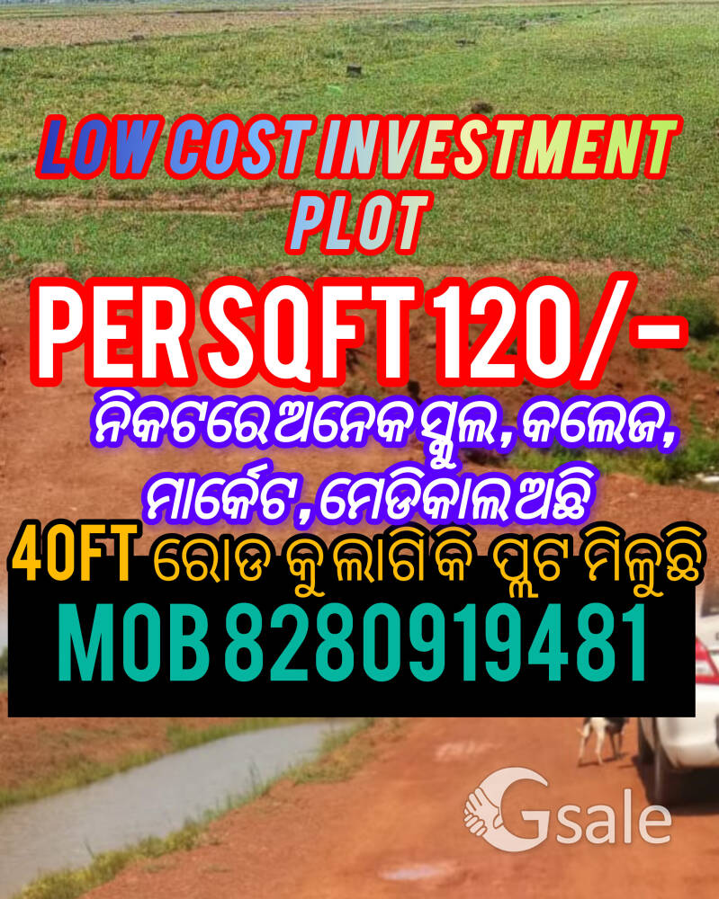 low cost investment plot
