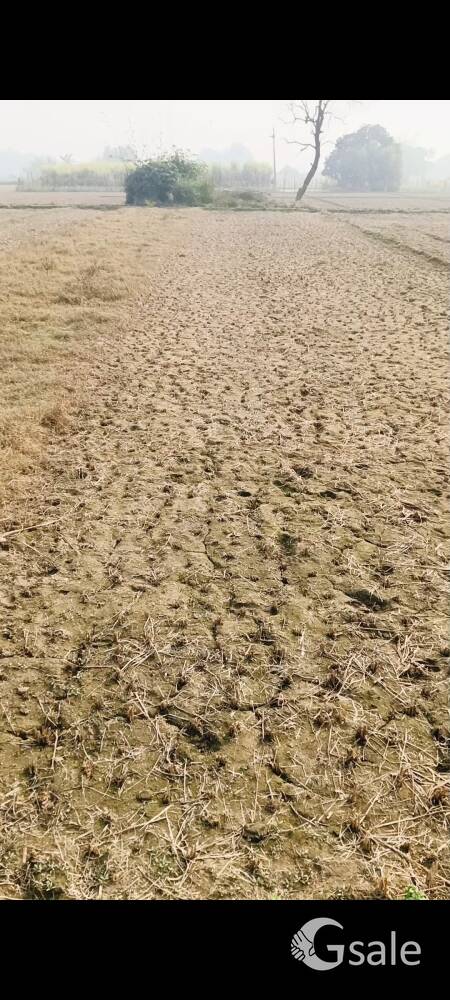 2 bissa ka plat hai sutabalpur me kisan ka hai