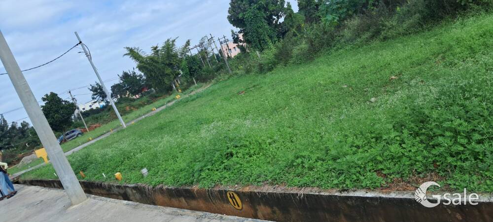 Site for Sale
