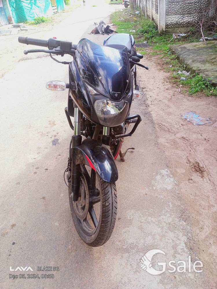 show room condition pulsar