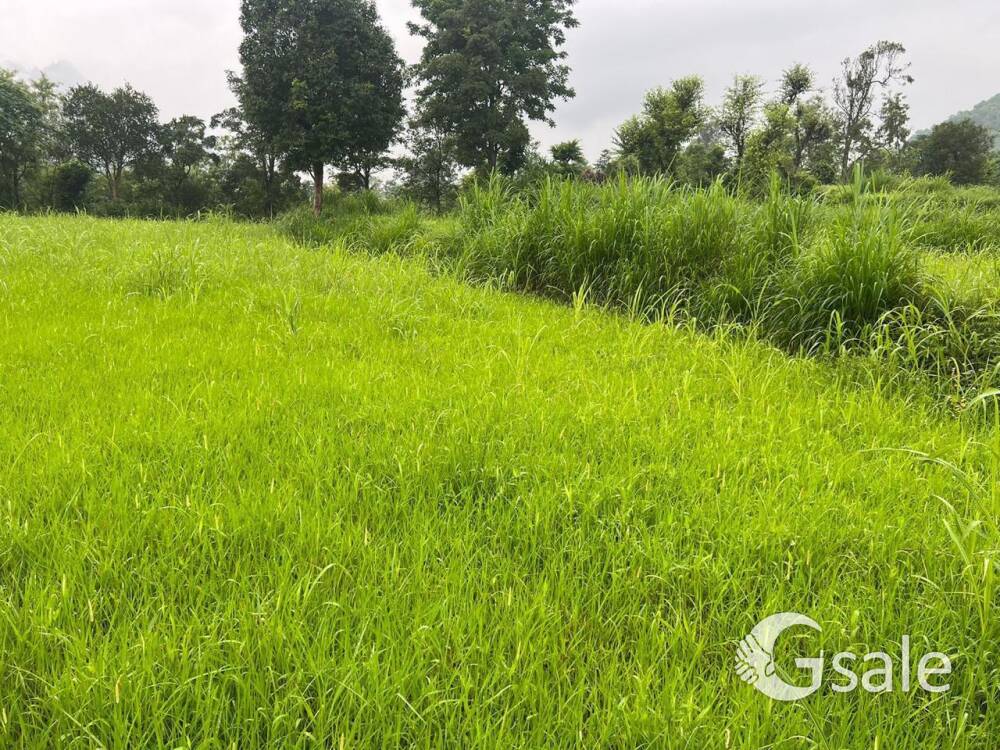 71 bigha 19 biswa land for sale nalagad ram sehr nalagad to shimla airport four line rod nearby200m