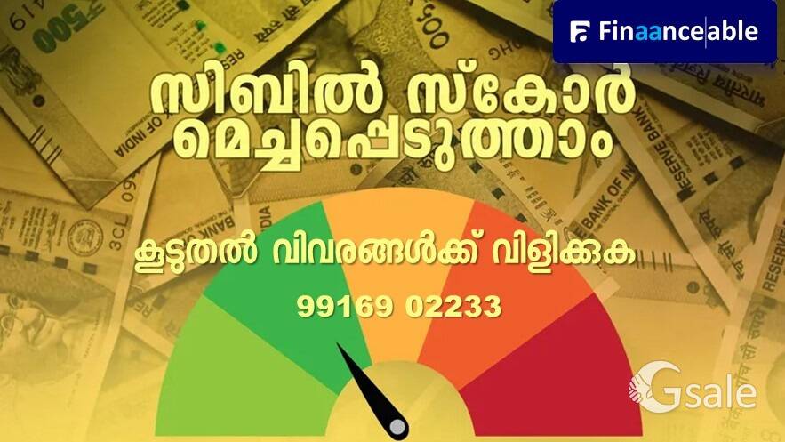Cibil Score Improvement Services 