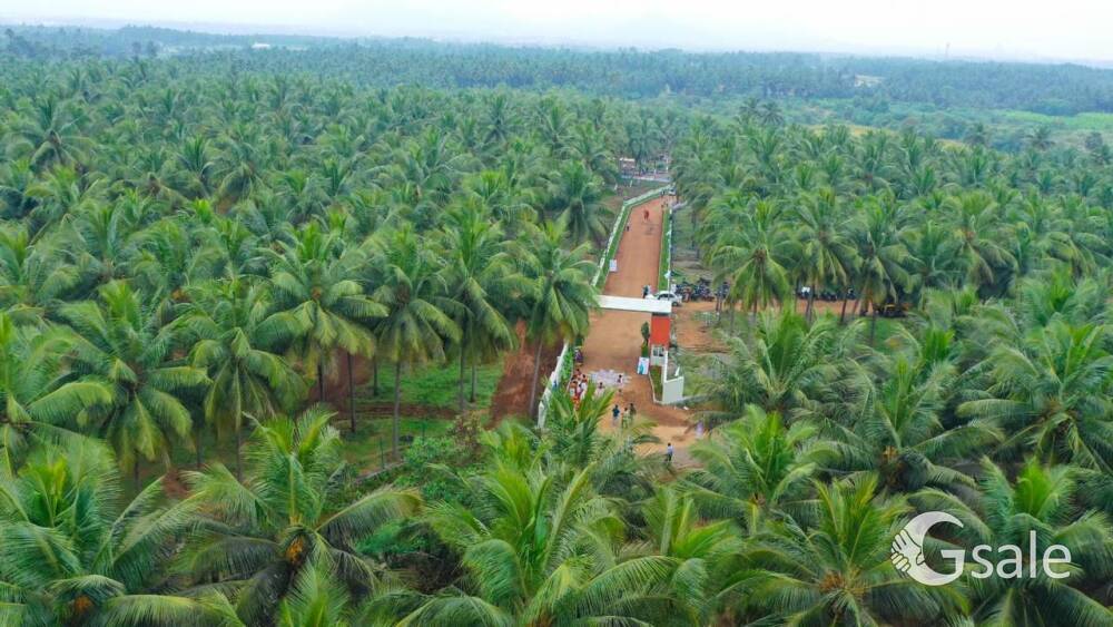 coco bae farm houses 
