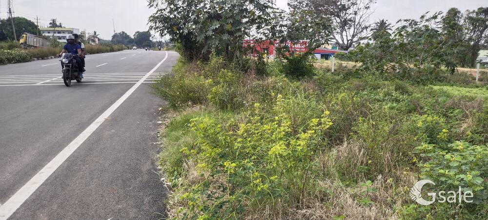 commercial Site 