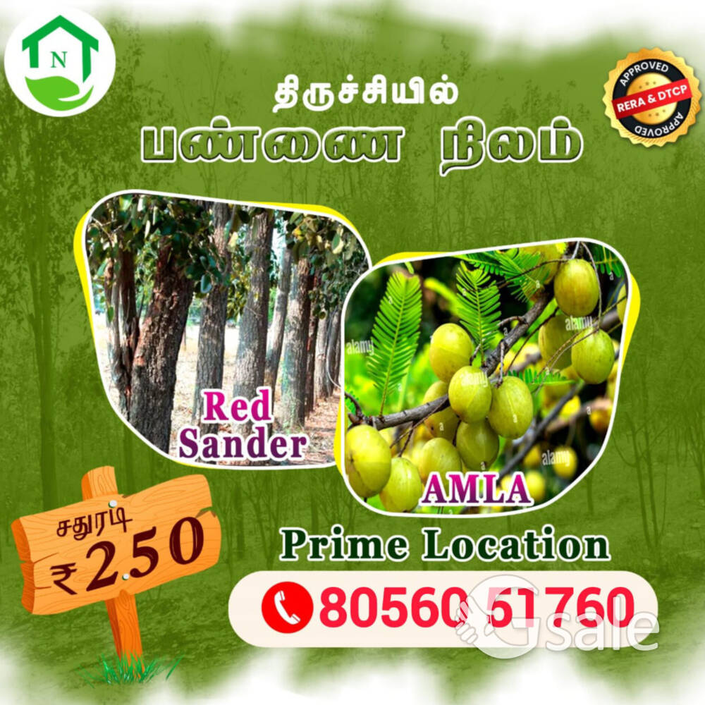 Nachiya Farm Land