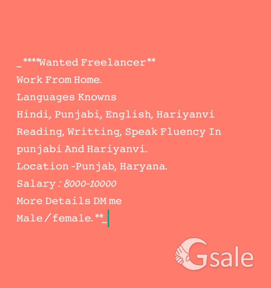Wanted Freelancer 