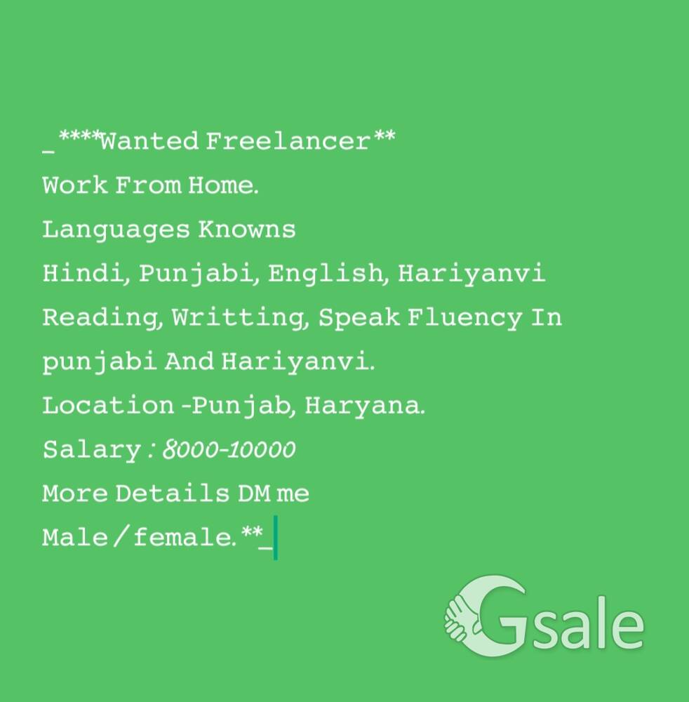 Wanted Freelancer 