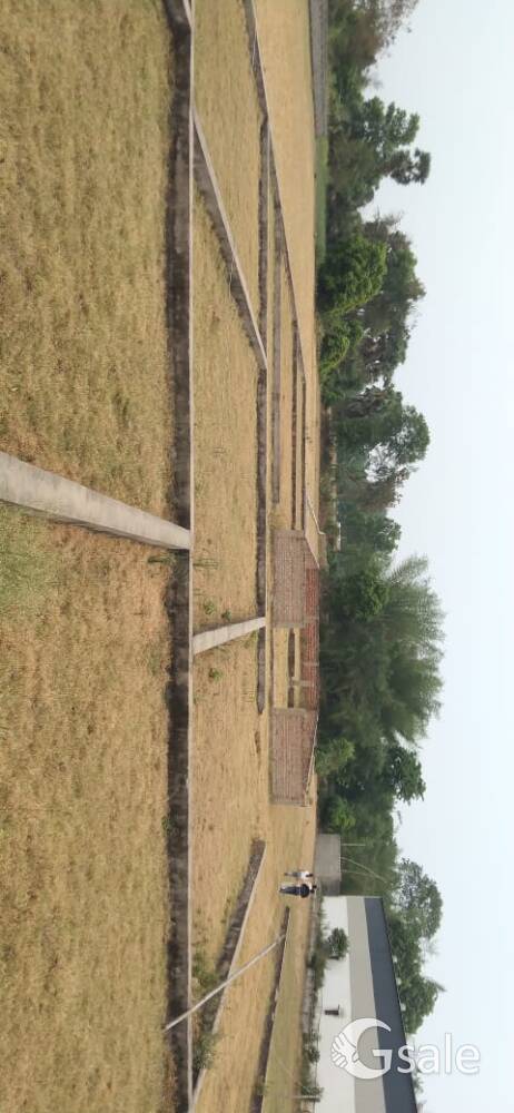 vrindavan colony Bihata to Bikram road Datiyana near by DAV public school 48months EMI Patna Bihata 