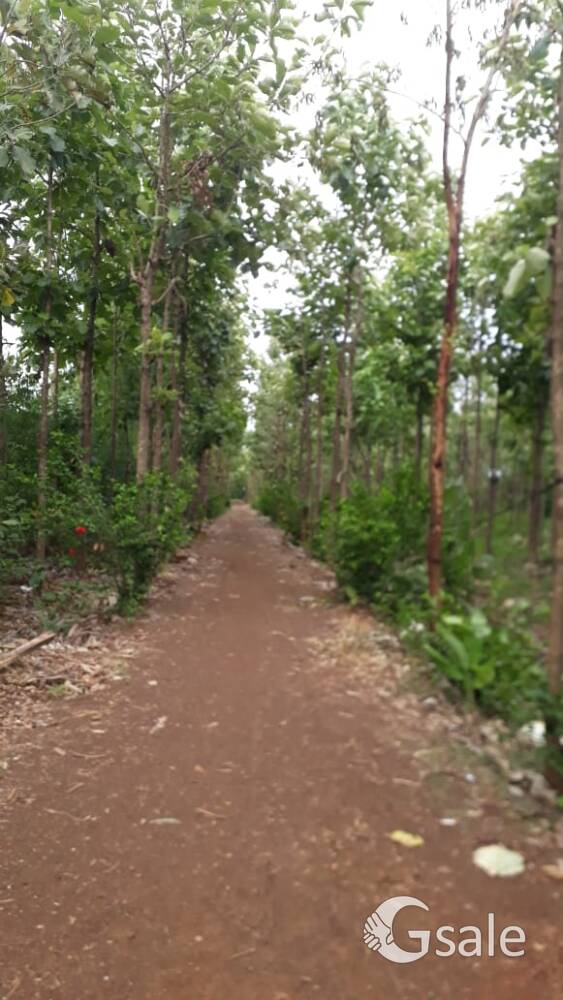 10 acar 30 gunta  agriculture land for sell 
