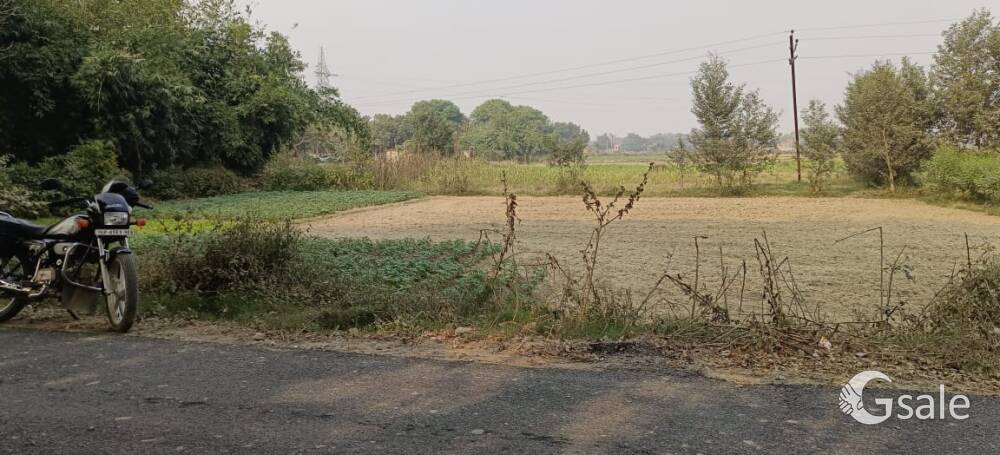 mirzamurad kachwa road lalchatti