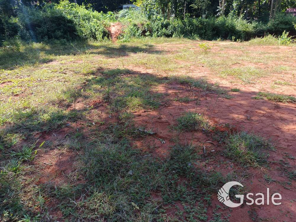 10 cent house plot