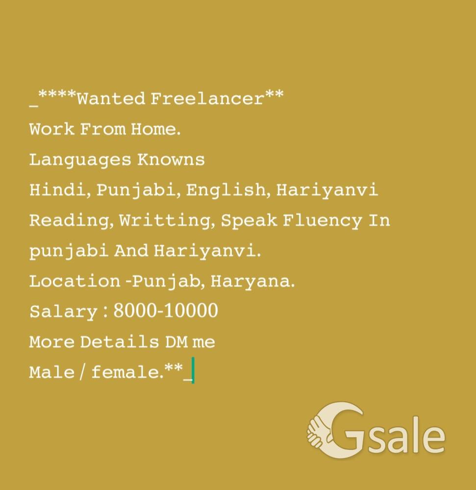 Wanted Freelancer 