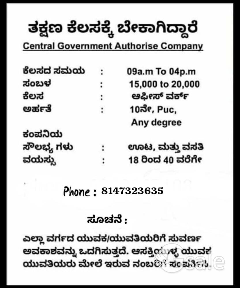 business related office work 