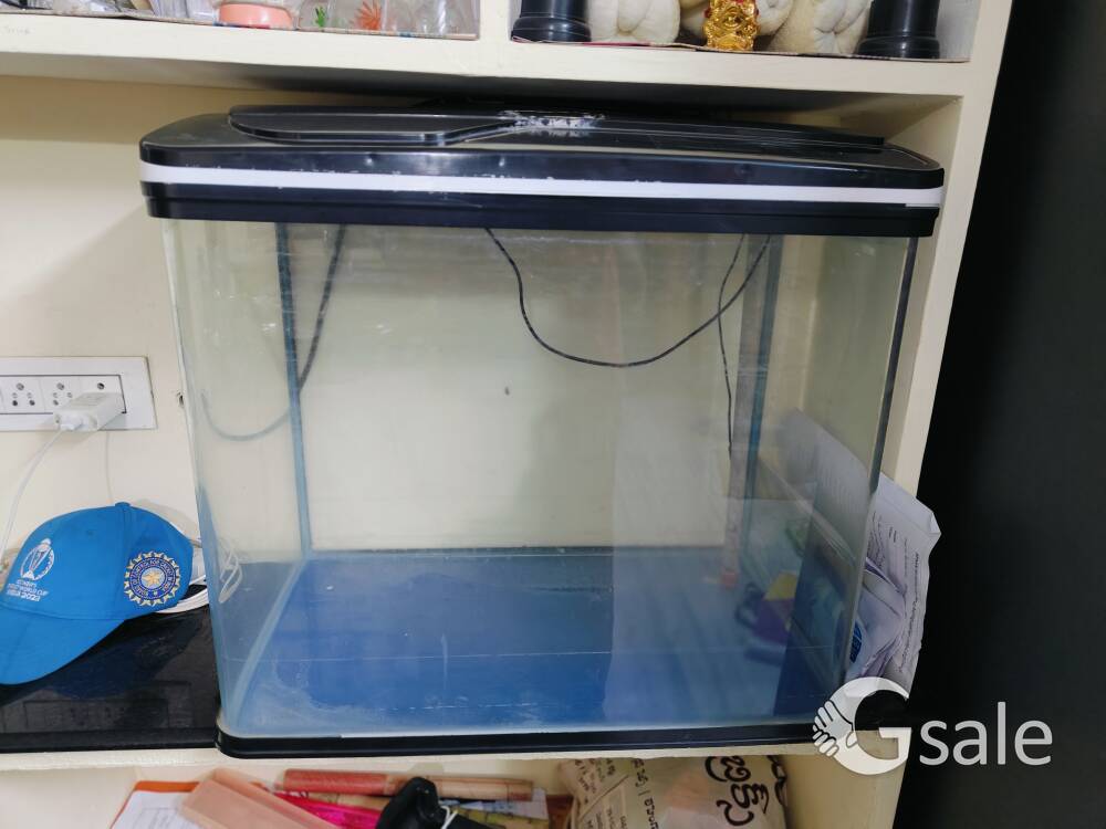 Large Aquarium 