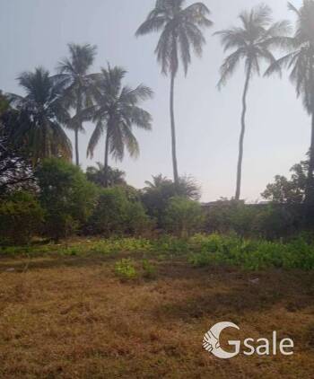 Residential & Commercial Plots and House Available 