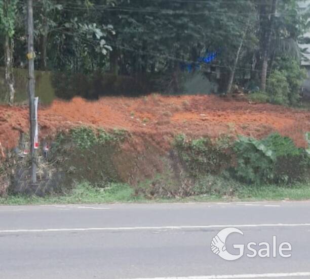 pathanamthitta, adoor, kerala