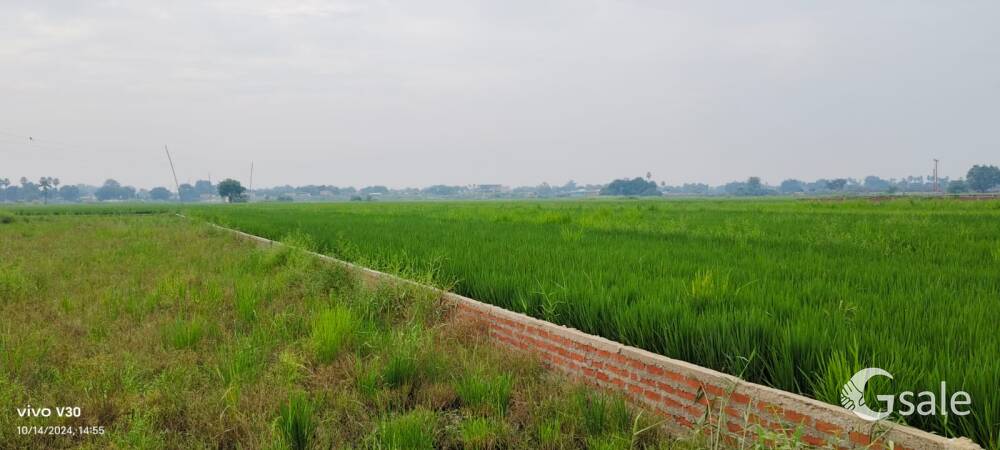 Aerocity, bihta 
