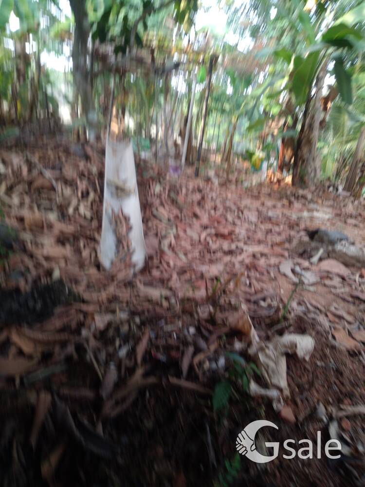 65cents land suitable for flats and villas for sale near civil station muvattipuzha. kerala. call 