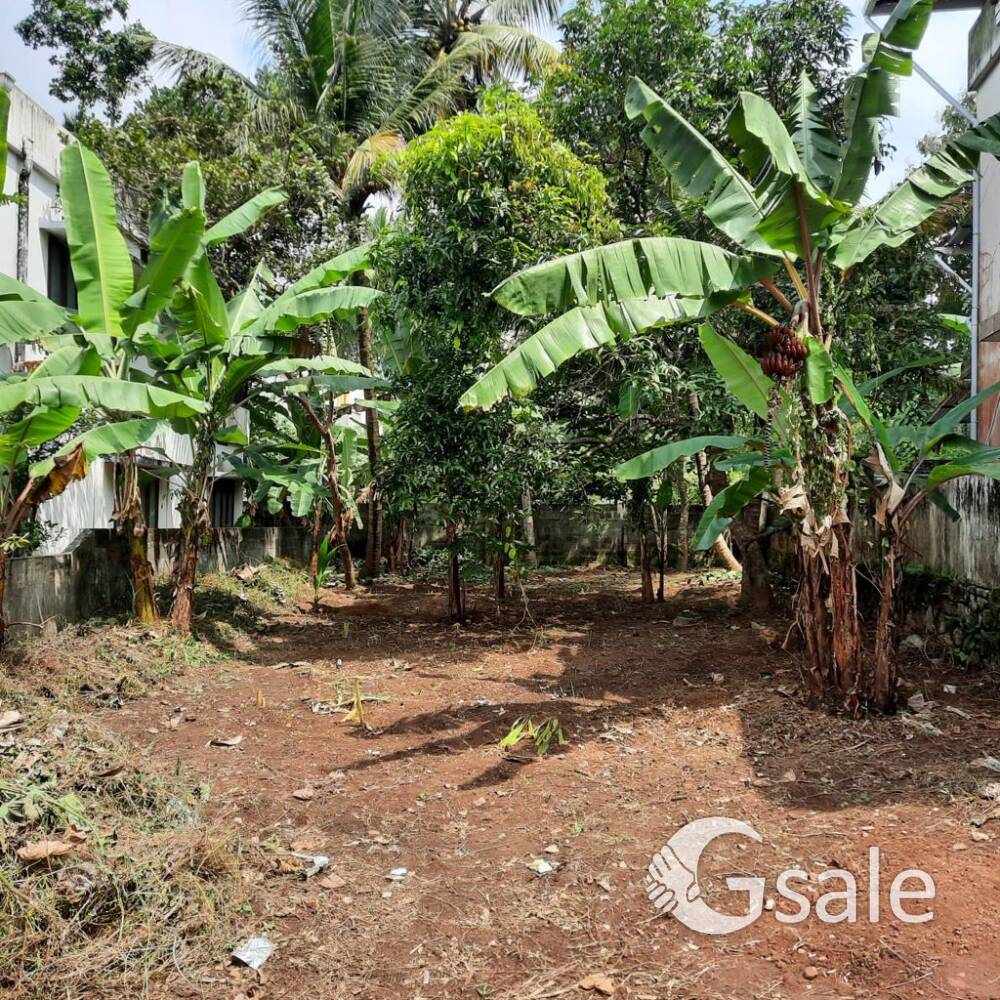 6.3 cent plot at nalanchira