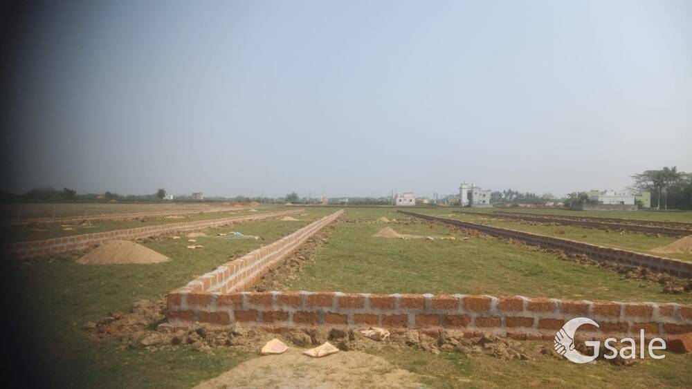 Ranga bazaar ,Dibya jyoti avenue