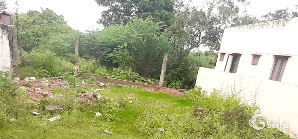 HAMZA LOCAL PROPERTY'S 🤝 