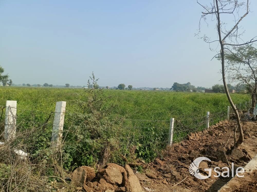 7भीगा खेत बिकाऊ है दक्षिण बाईपास ग्वालियर रोड आगरा 