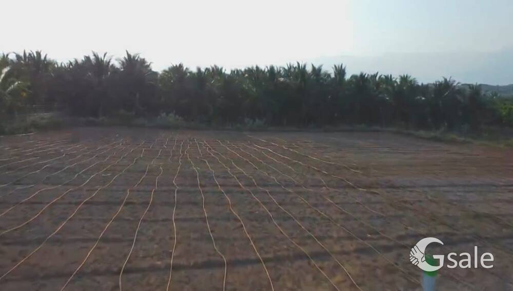Farmland for sale @ 1.5 lakhs per cent in Coimbatore 