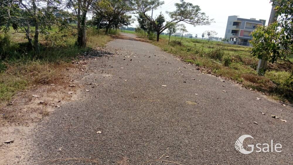 Vijaywada  kakipadu kolvennu vneture square yard 16500 only best location low price 500 km to Bandar