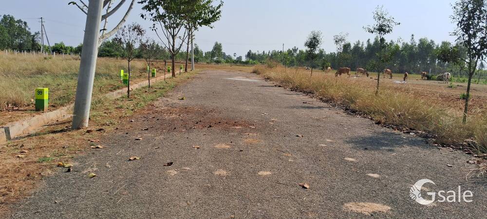 Reddipalli Padmanabam VMRDA Project 