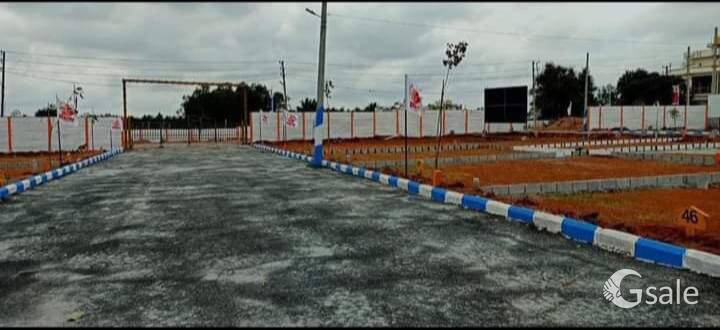 orayian Nexa city