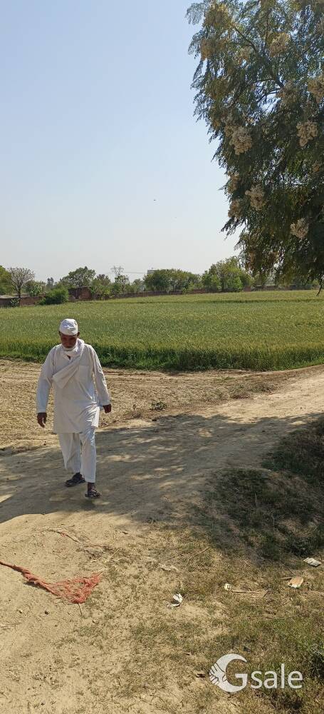 kursi village Agriculture land sale