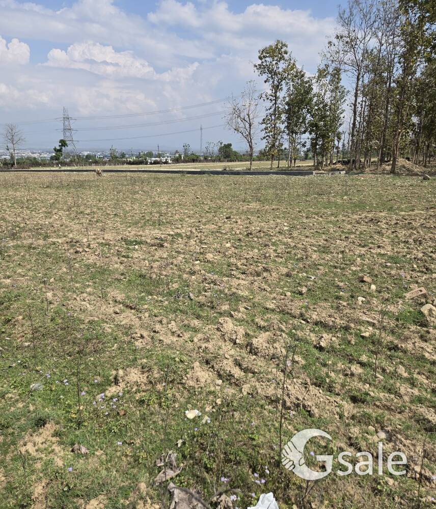 Dehradun saste plots 