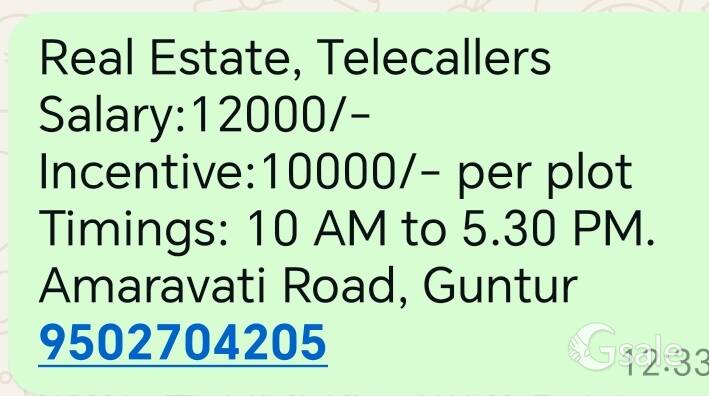 Real Estate, Telecallers