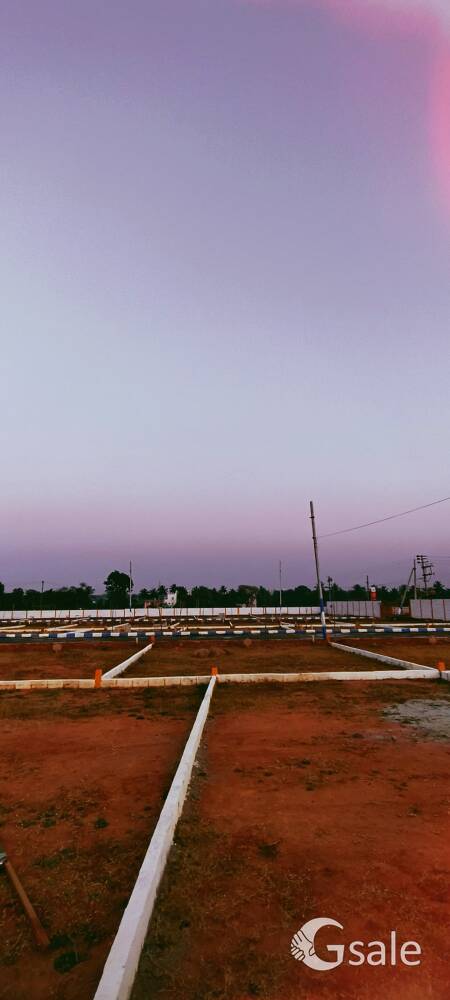 Oraiyan Nexa City