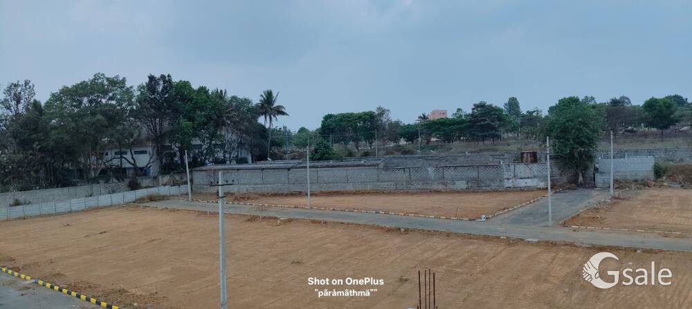 Anekal market near by 
