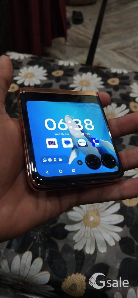 Moto Razer 40 ultra 