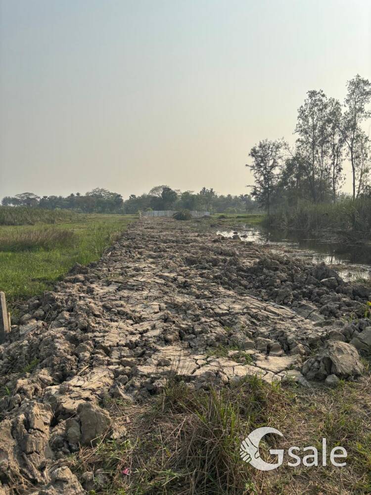 image 14