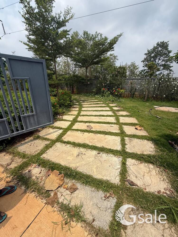 Erayaa Plots