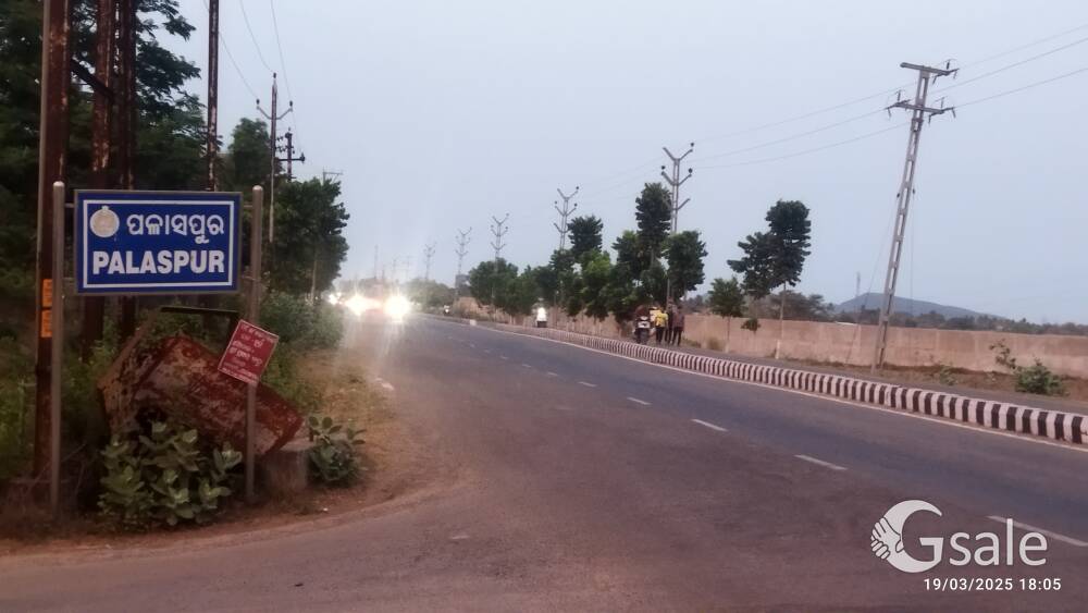 Commercial/Residential Plot For Sale At Palaspur, Chhatabar. 