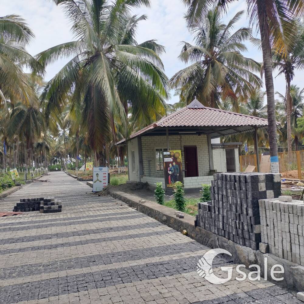 #Coconut Trees Farm Land For Sales##Salem Cochin L & T Highways Near##Contact-74184 50602##Contact-9