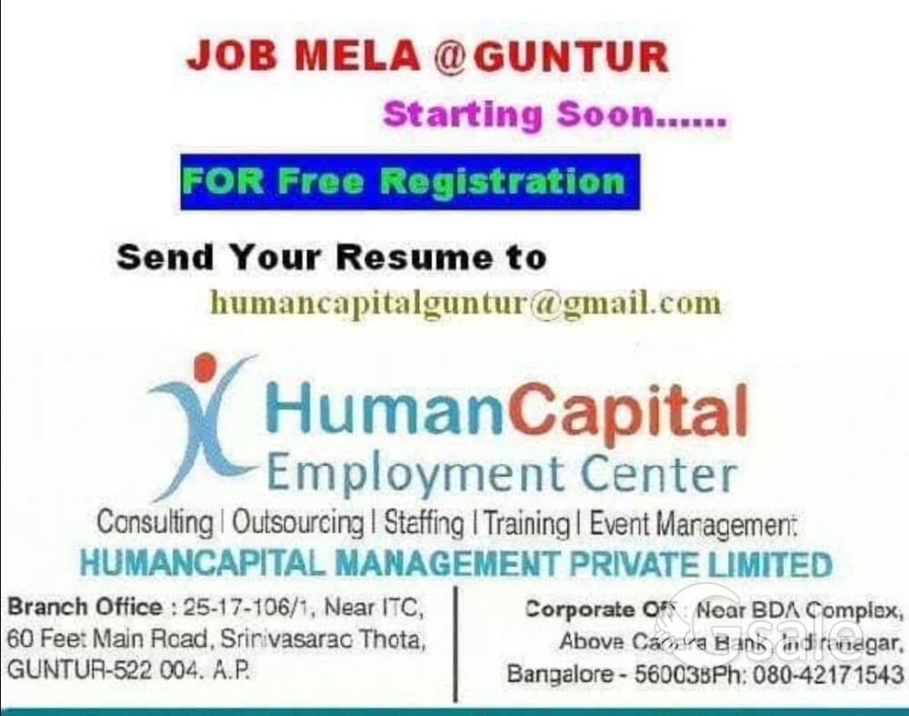 Office Assistant  ( Clerk ) గుమస్తా
