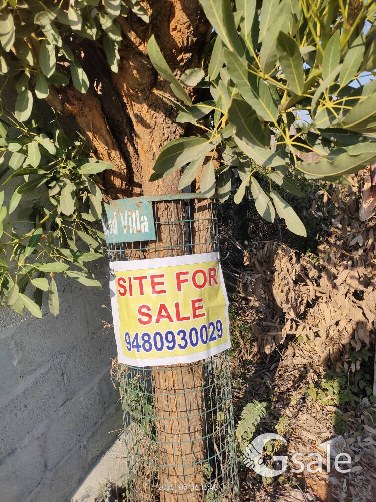 40×60 Site for Sale 
