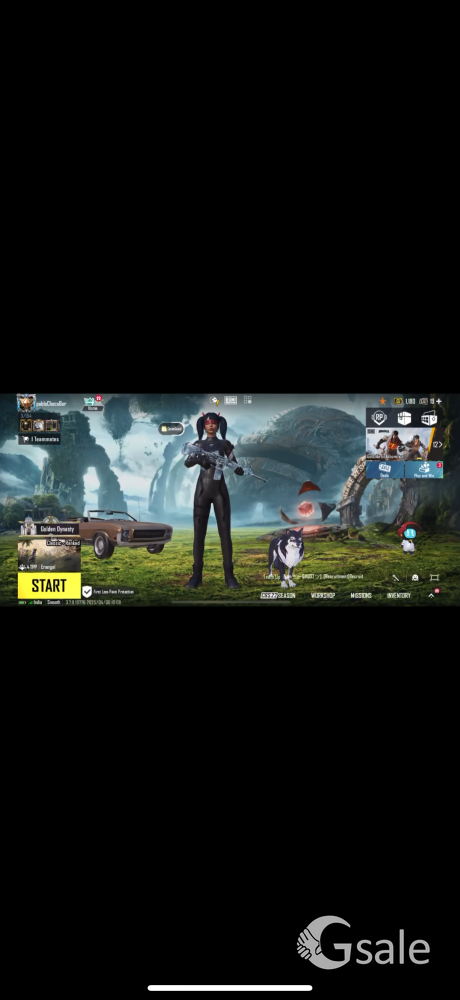 Bgmi account for sale  lvl 80