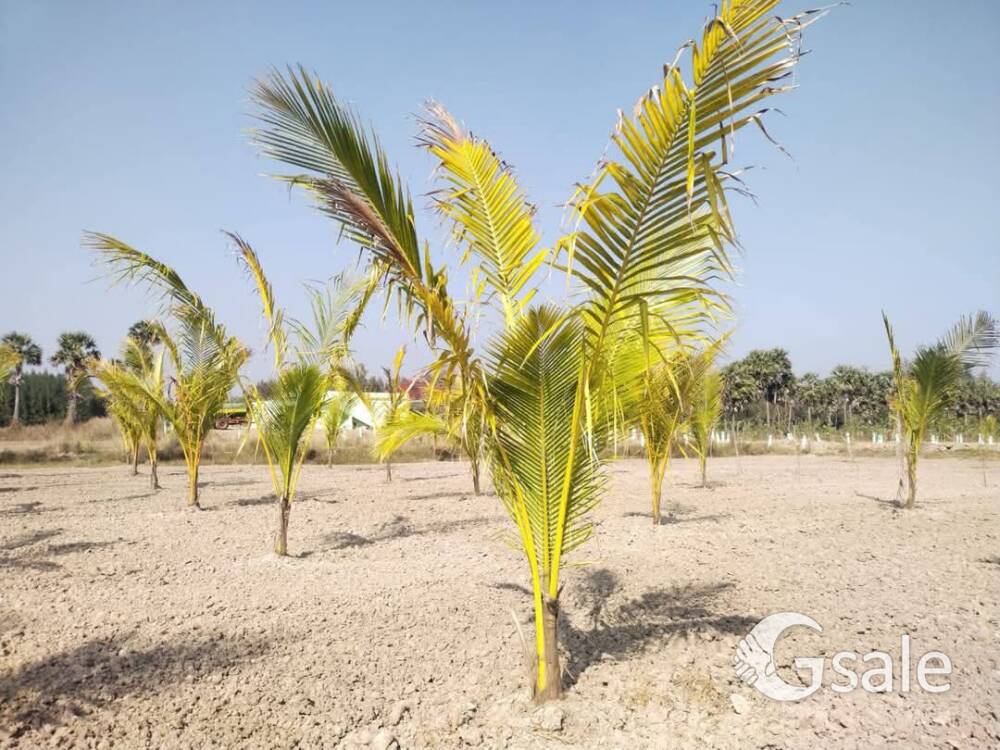 Land for sale