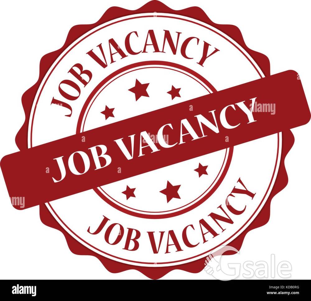 Fresher wanted 