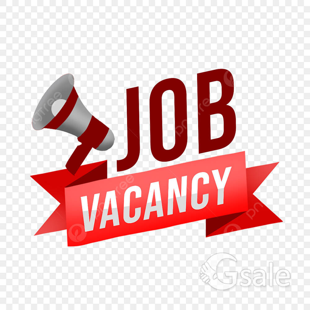 Tele calling, supervisor, teamleader, office assistant, document writing 