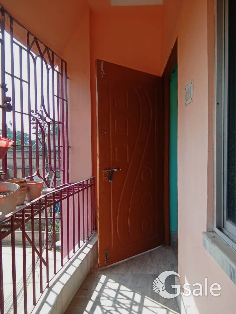 image 4